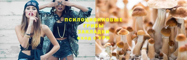 ПСИЛОЦИБИНОВЫЕ ГРИБЫ Алексин