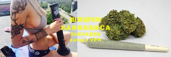 PSILOCYBIN Алзамай