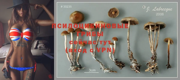 ПСИЛОЦИБИНОВЫЕ ГРИБЫ Алексин