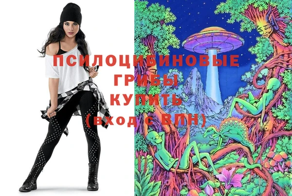 PSILOCYBIN Алзамай
