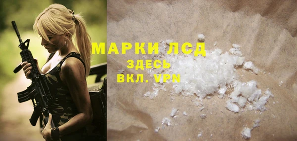 PSILOCYBIN Алзамай