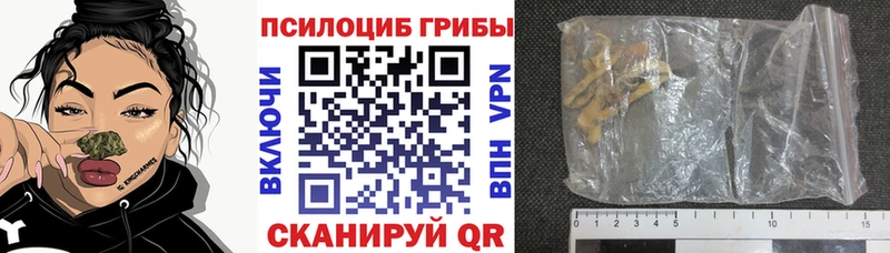 Псилоцибиновые грибы прущие грибы  где купить наркотик  Фатеж 